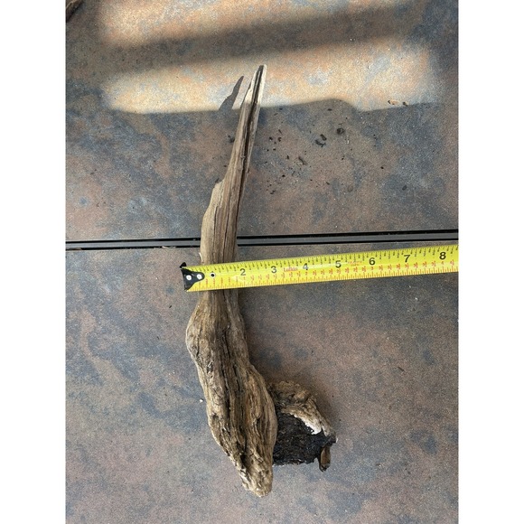 Natural Driftwood for Plants Terrarium Taxidermy Art Projects - Picture 5 of 5